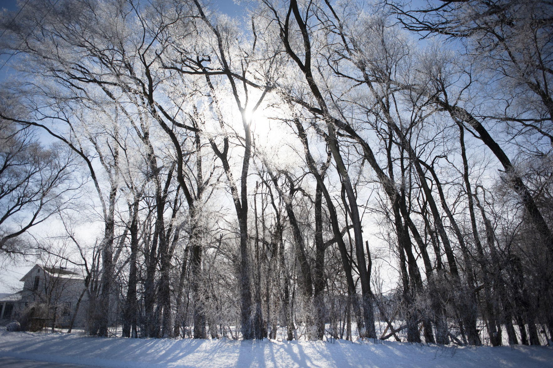 190220_FROST02